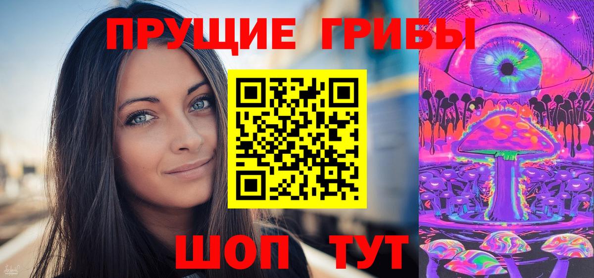 Псилоцибиновые грибы Psilocybe Нижний Новгород