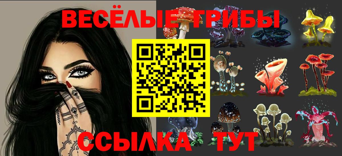 Псилоцибиновые грибы Magic Shrooms  Вход с VPN  Галлюциногенные грибы прущие грибы  Нижний Новгород 